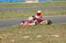 120506mote1_013