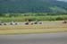 120805moagmi_036