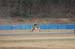 130324mote1 036