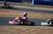 131208mote6_038