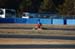 131208mote6_045