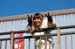 1311215fes6_024